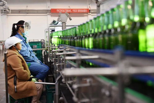 青島啤酒 苦待第二春的挑戰(zhàn)與機遇